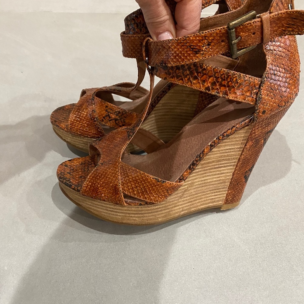 Python Wedges - image 1